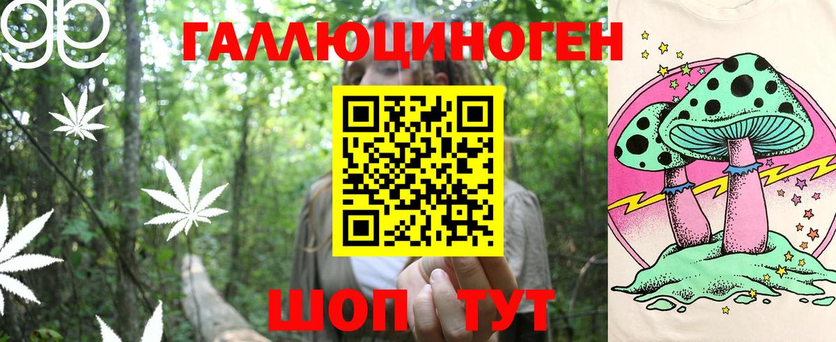 Донецк  Псилоцибиновые грибы GOLDEN TEACHER  Вход с VPN 